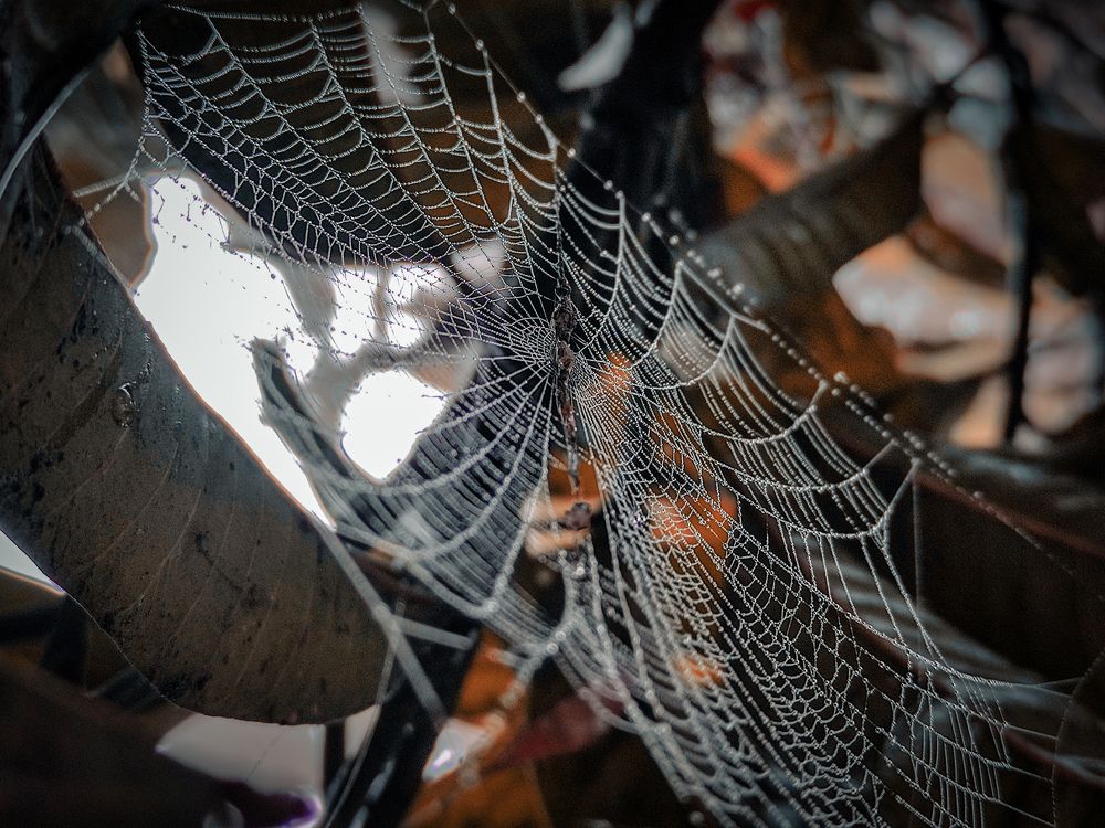 Photograph by Manish Yadav