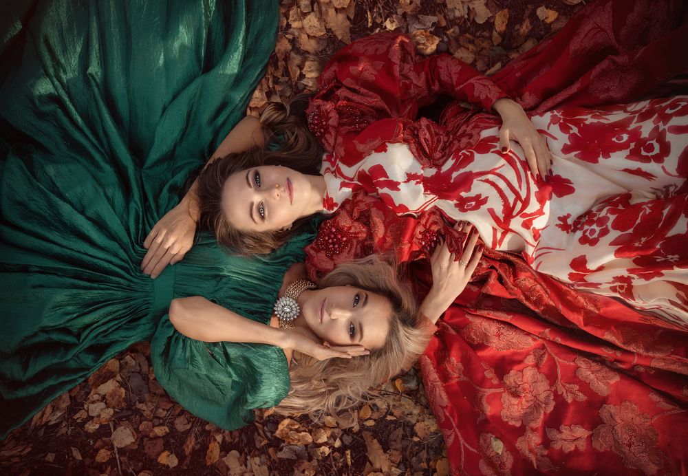 In the autumn forest