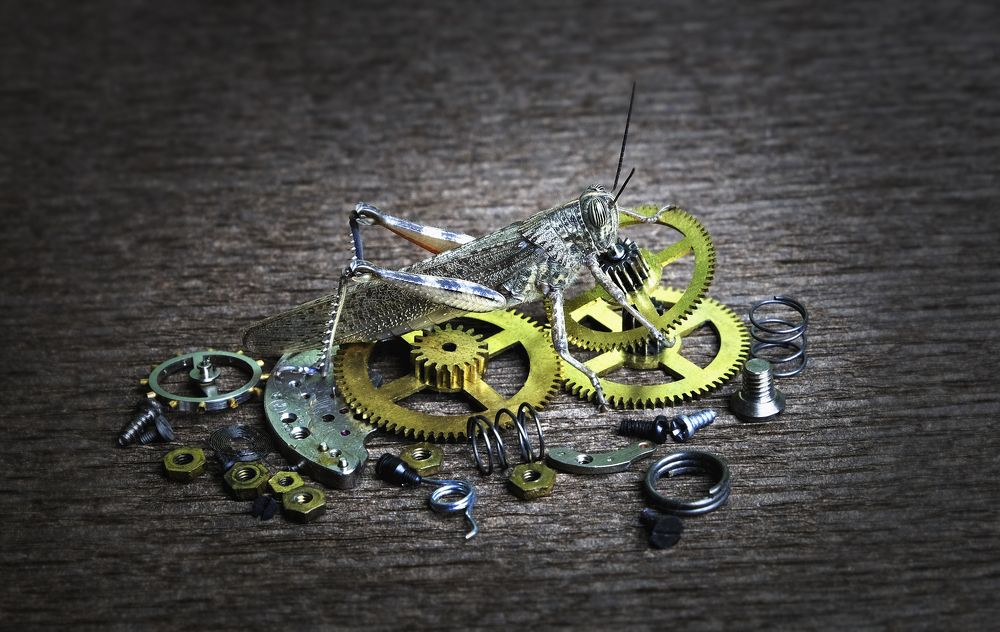 Photograph by Данил Мандрыгин