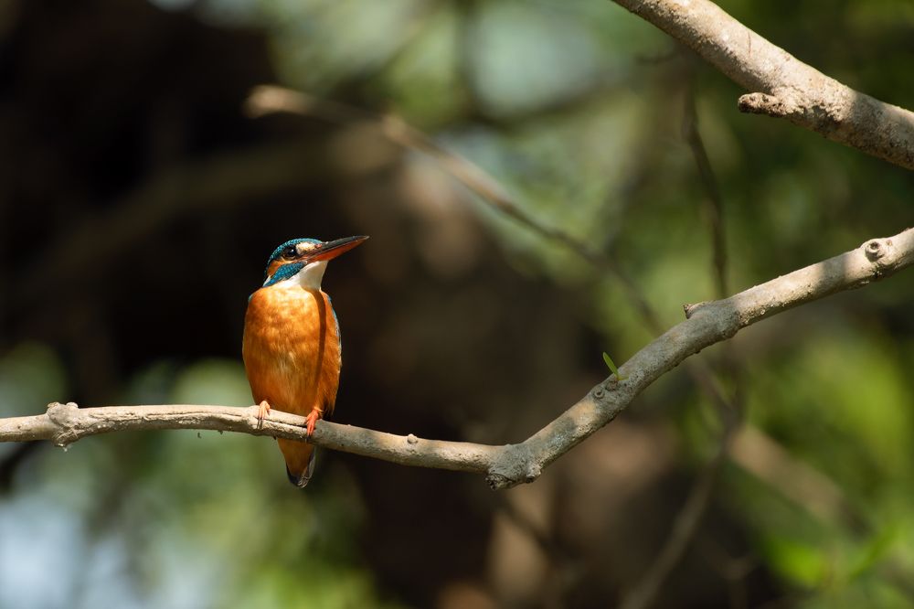 Photograph by Neeraj Gade