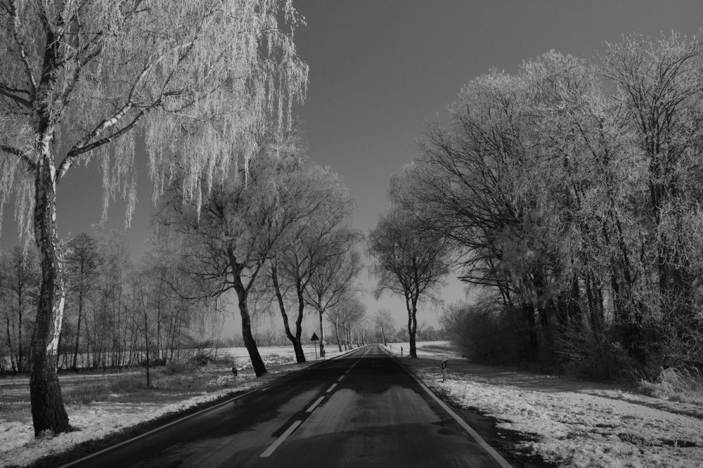 Photograph by jean-pierre damen