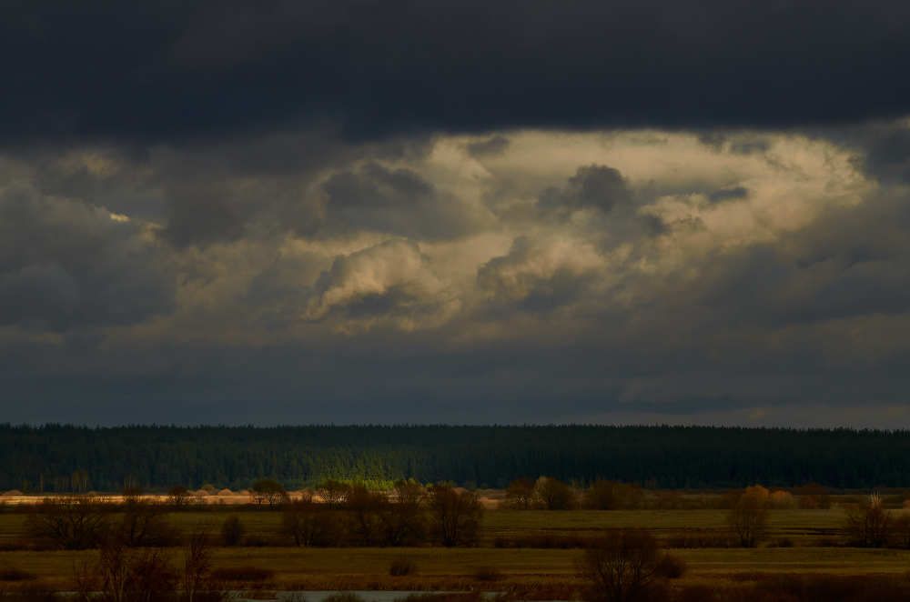 Photograph by Владимир Барышев