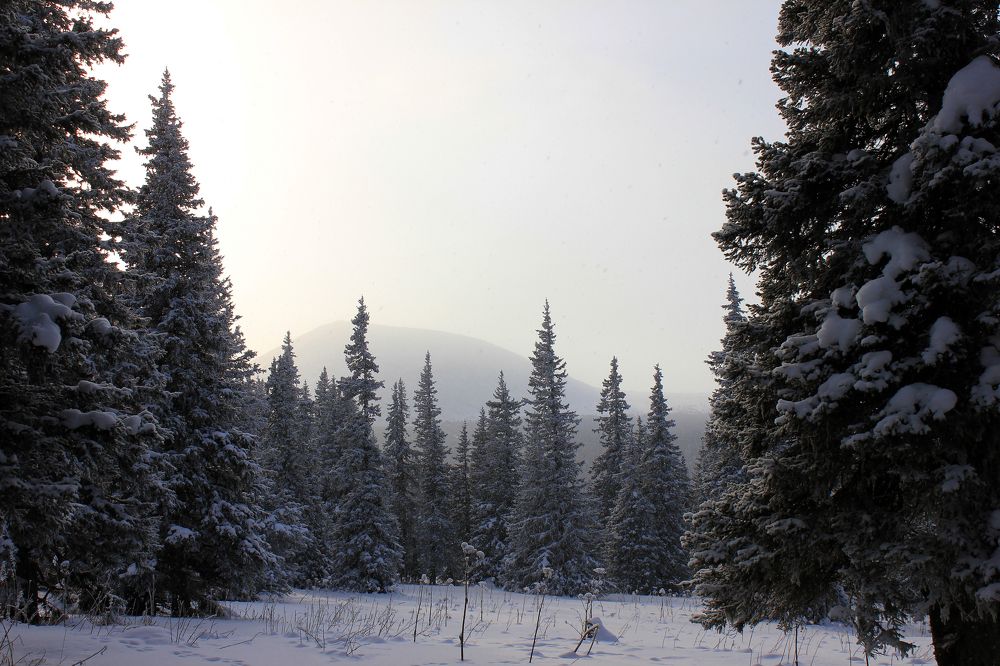 Photograph by Александра