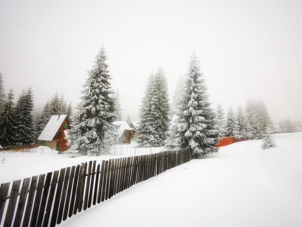 Photograph by Fekete Albert