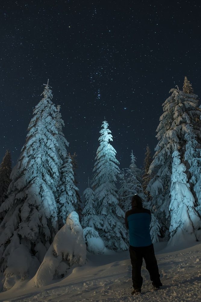 Photograph by Radim Ziman