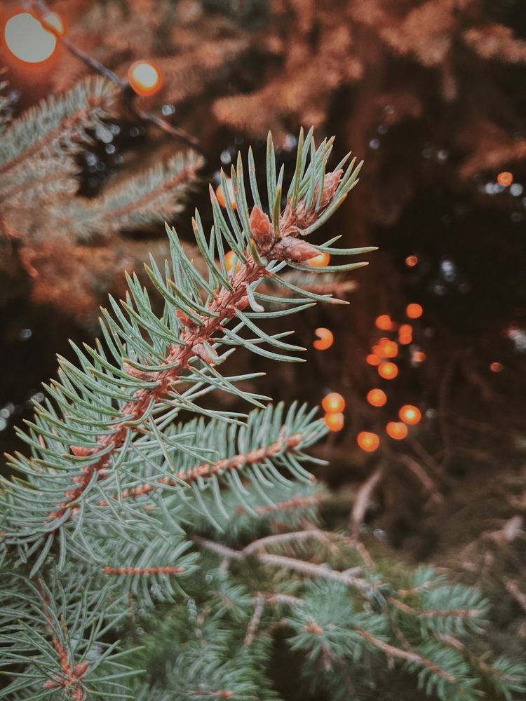 Photograph by Александра Ковалёва