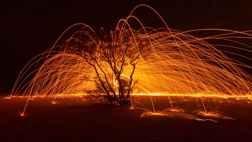 Photograph by Manjri Saxena