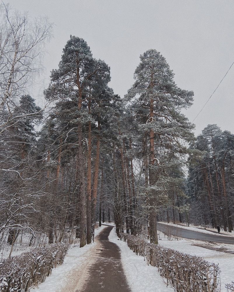 Photograph by Александра Ковалёва