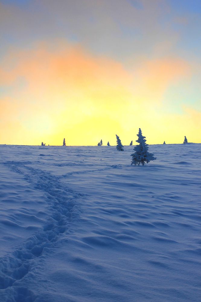 Photograph by Александра