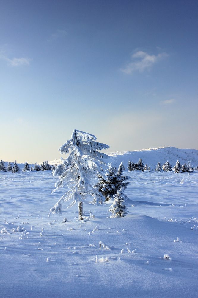 Photograph by Александра