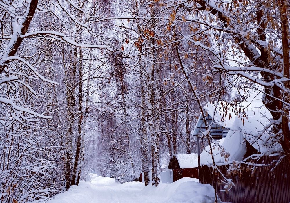 Photograph by Диана Арье