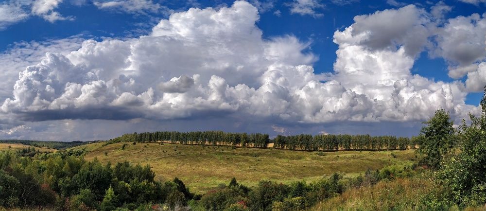 Photograph by Светлана Кондрашова