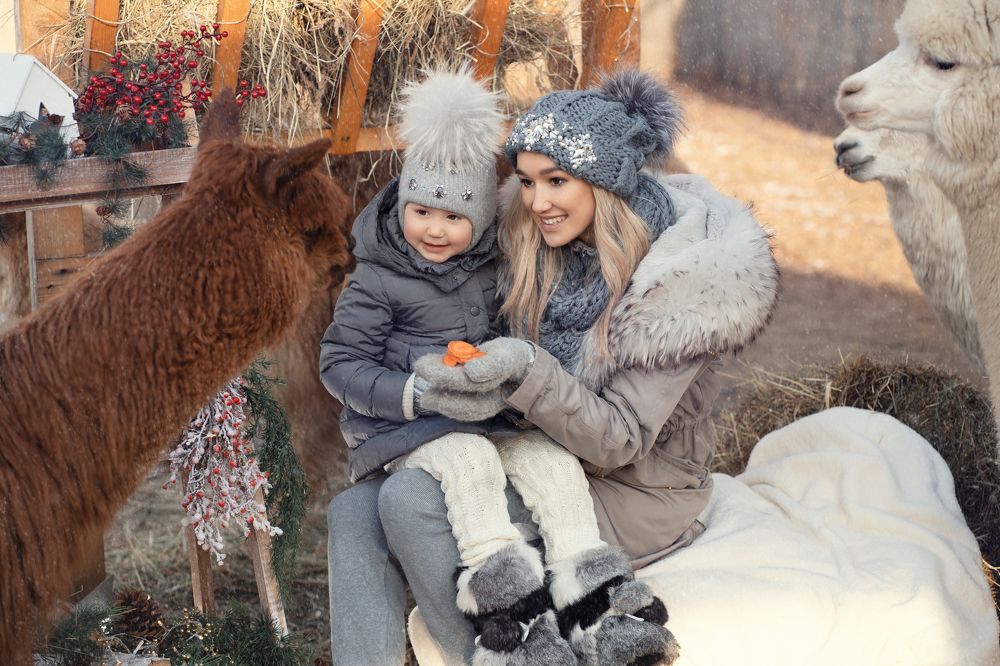 Furry friends