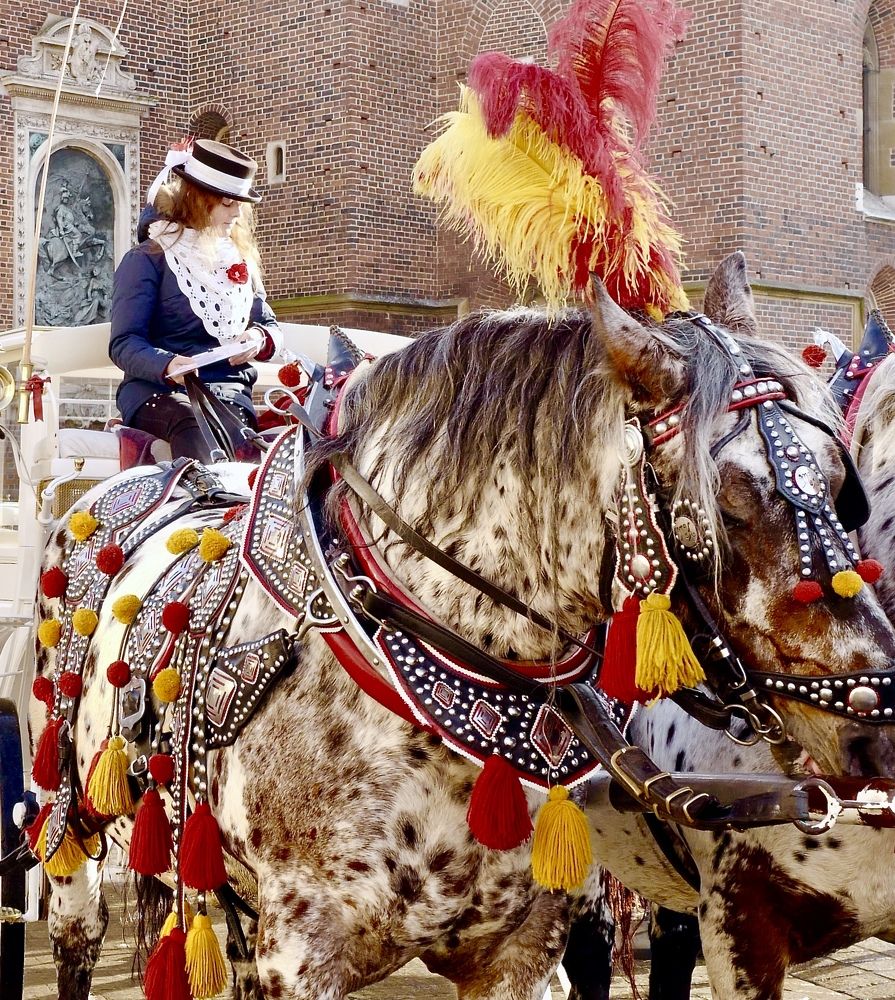 Photograph by Искандар Газизов