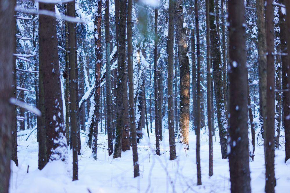 Photo #5635173