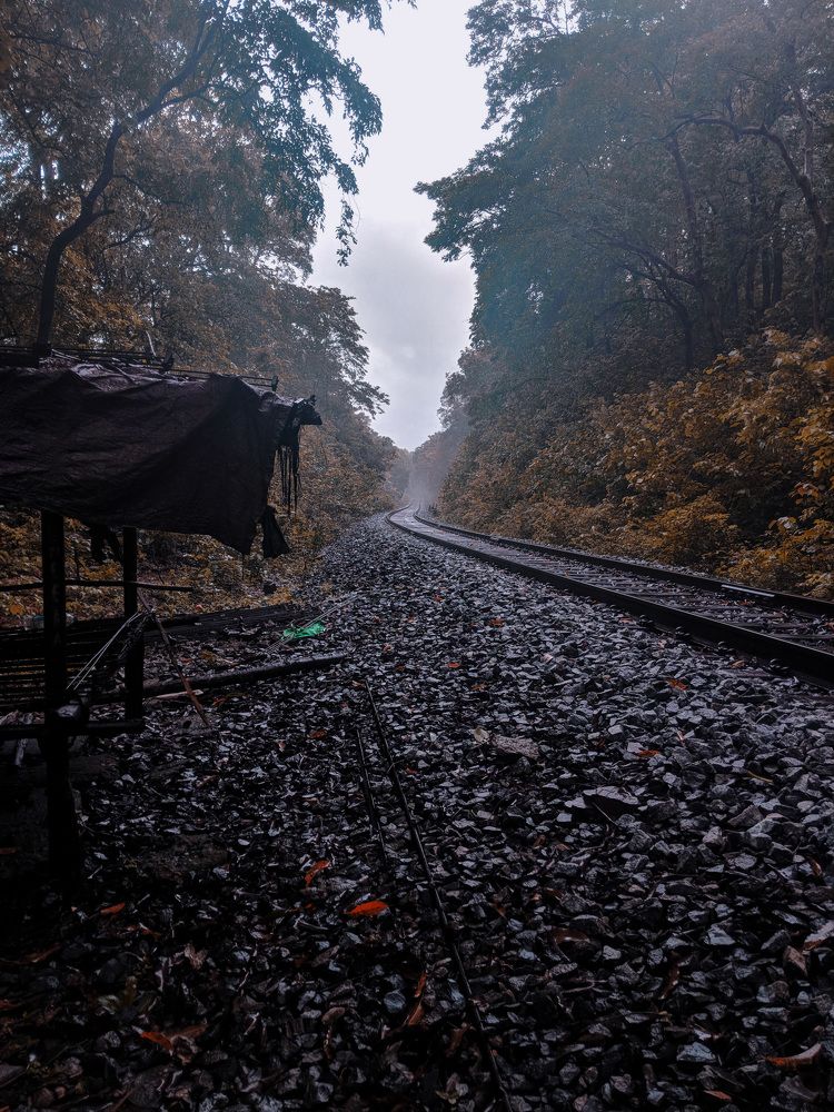 Photograph by Santosh Shabadi