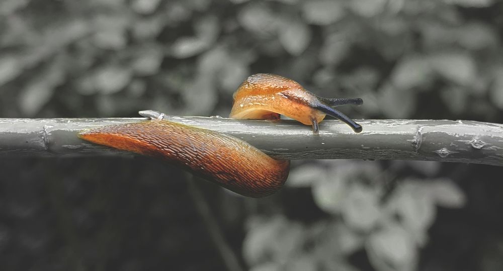 Photograph by Темур Талипов