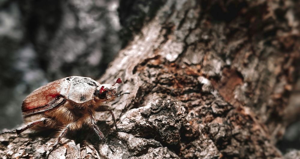 Photograph by Темур Талипов