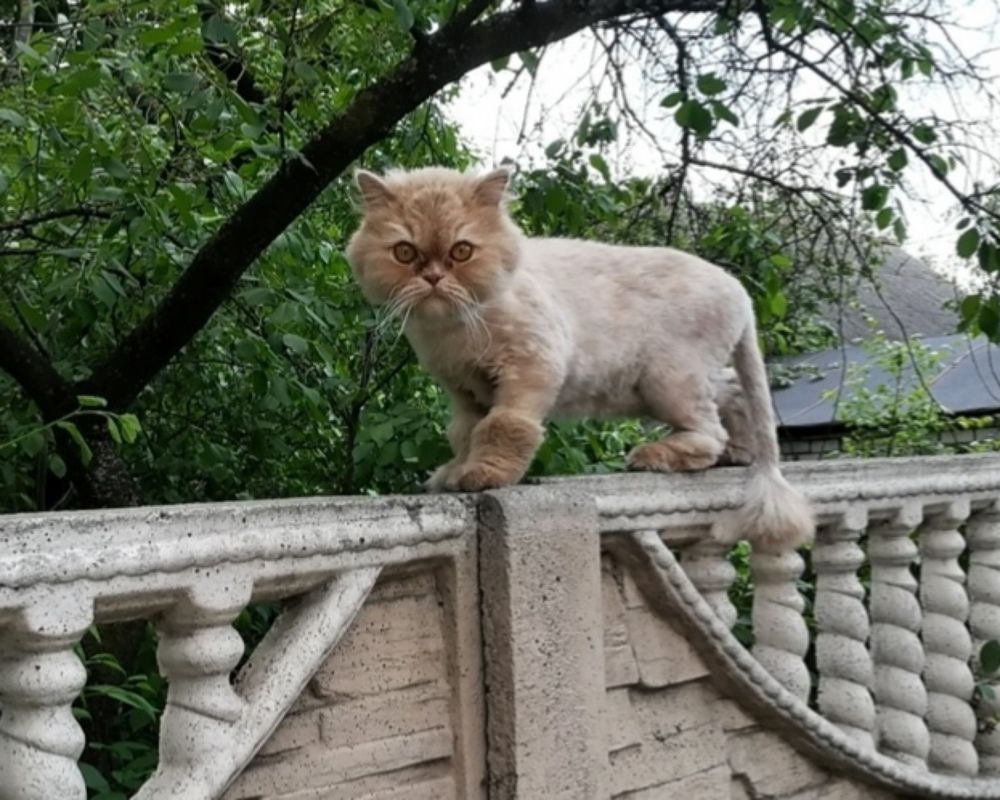 Photograph by Tatsiana Nitskaya