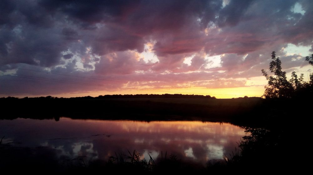 Photo #5635324