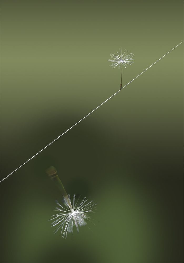 Photograph by Владимир