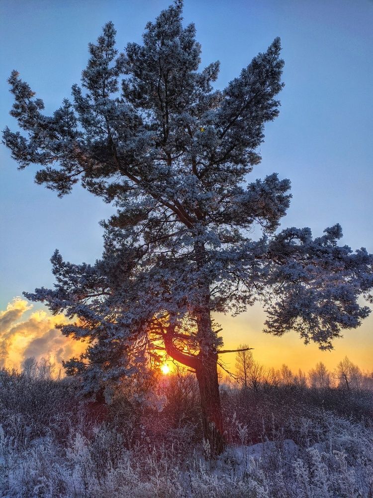 Красивый закат на фоне экологической катастрофы... A beautiful sunset against the backdrop of an ecological disaster...