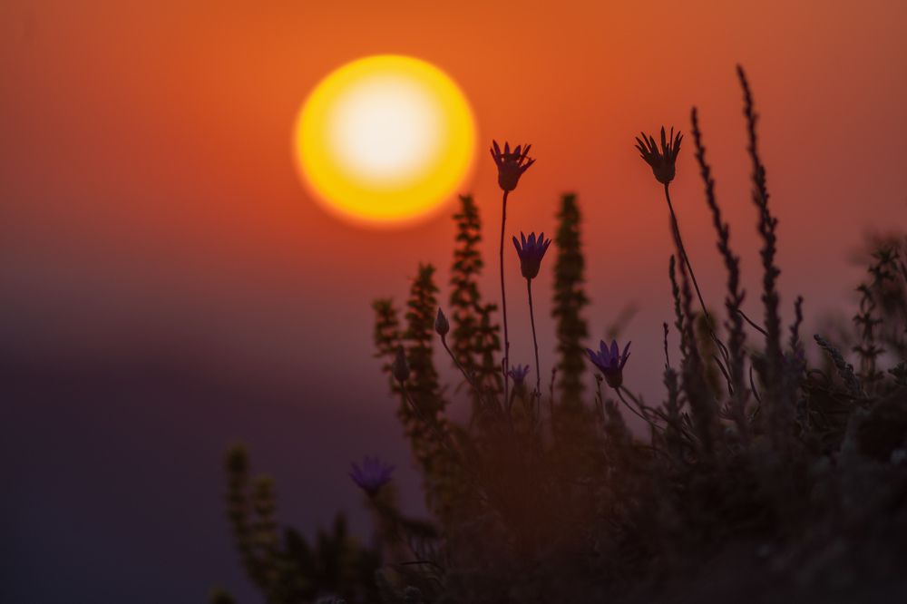 Photograph by Вадим К