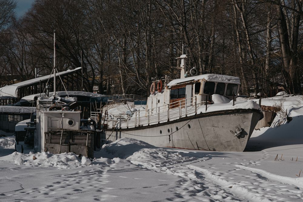 Photograph by Елена Петрюк