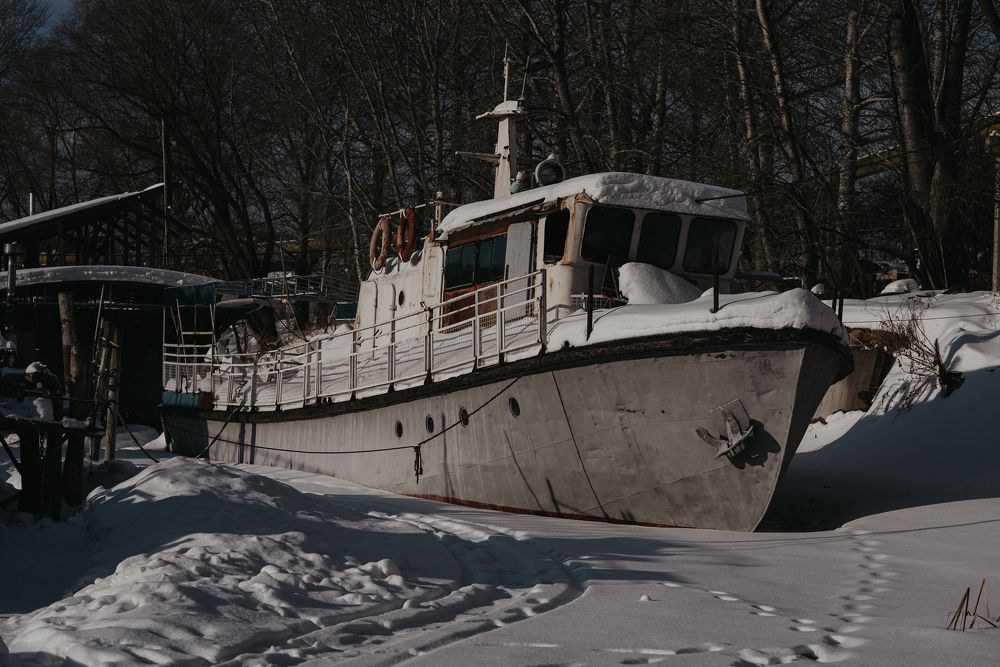 Photograph by Елена Петрюк