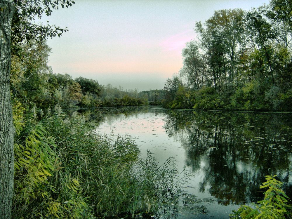 Photograph by Игорь Лотыш