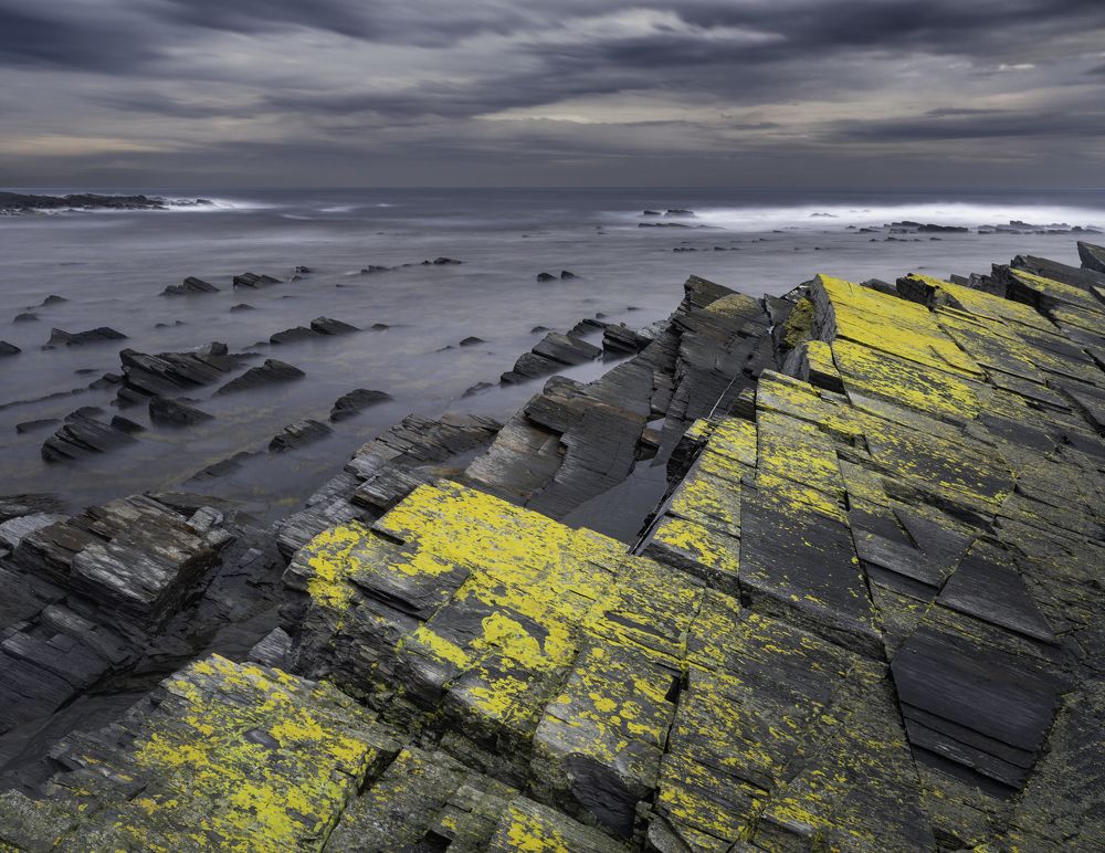 Photograph by Michael Levinsky