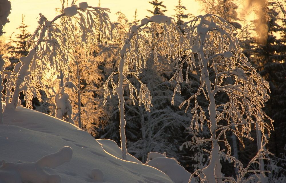 Photograph by Лада Денисова