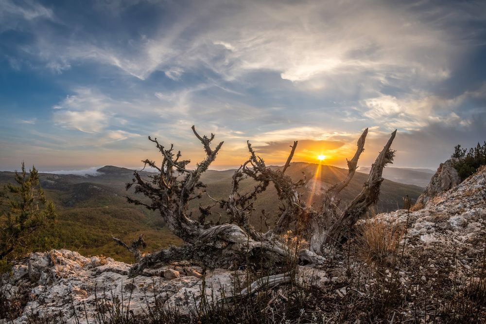 Photograph by Вадим К