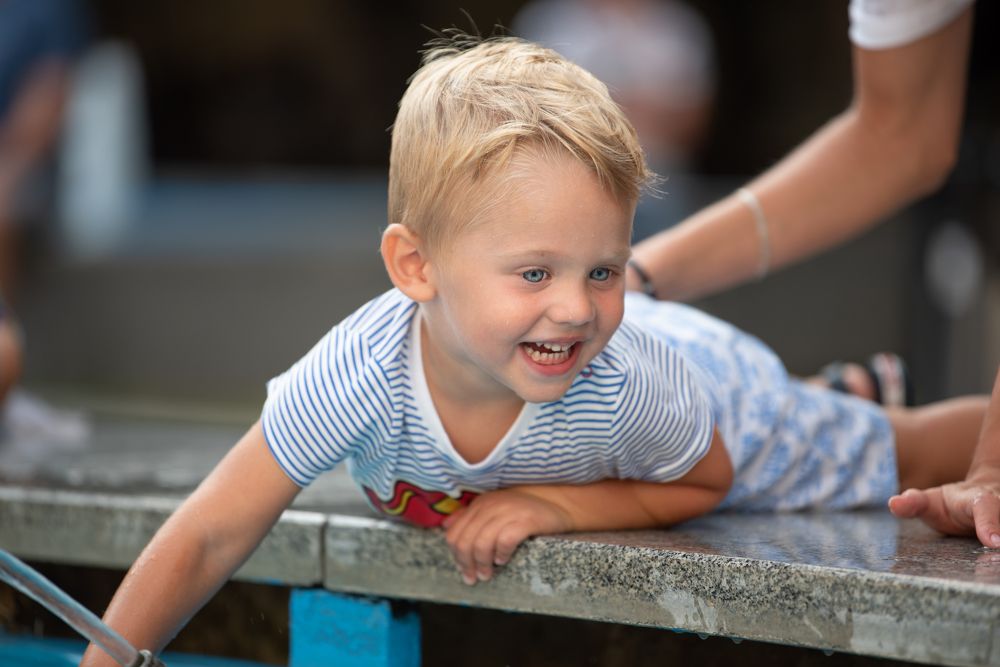 Photograph by Samuel Bogár