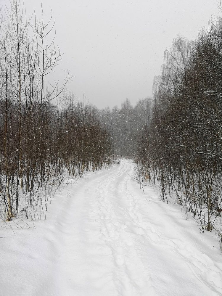 Photograph by Ирина Коновалова