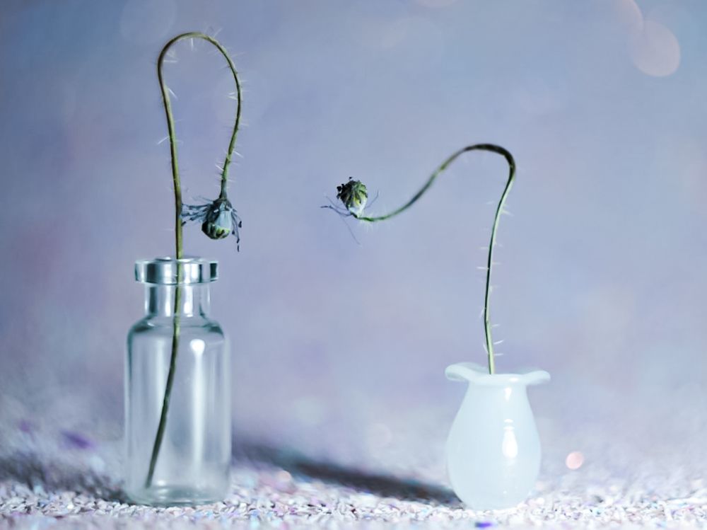 Photograph by Алеся Писнова