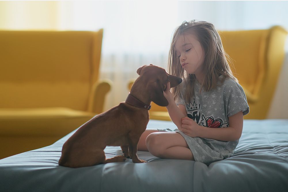 Photograph by Екатерина Плавская