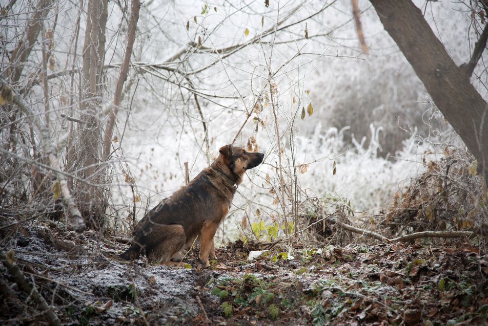 Photograph by Анна Полюх