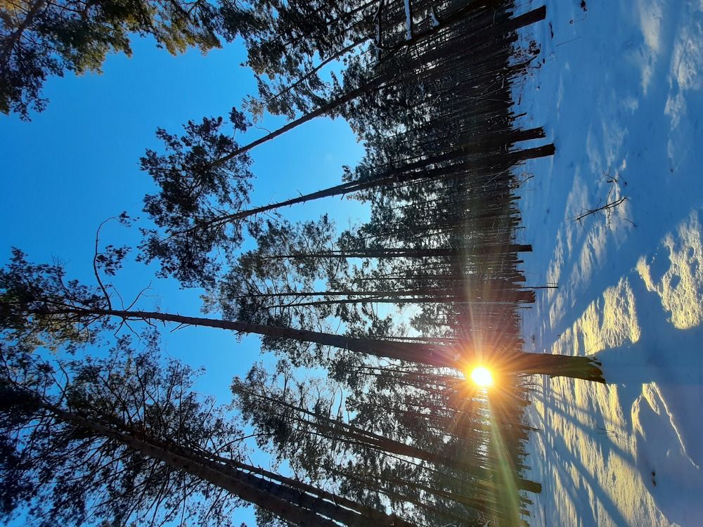 Photograph by Irina Gordienko