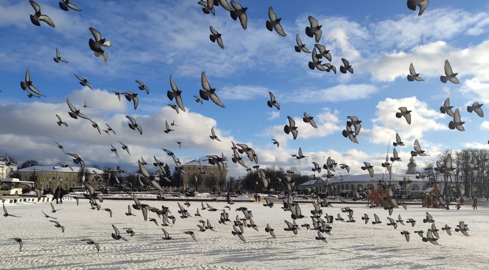 Photograph by Ксения Щербакова