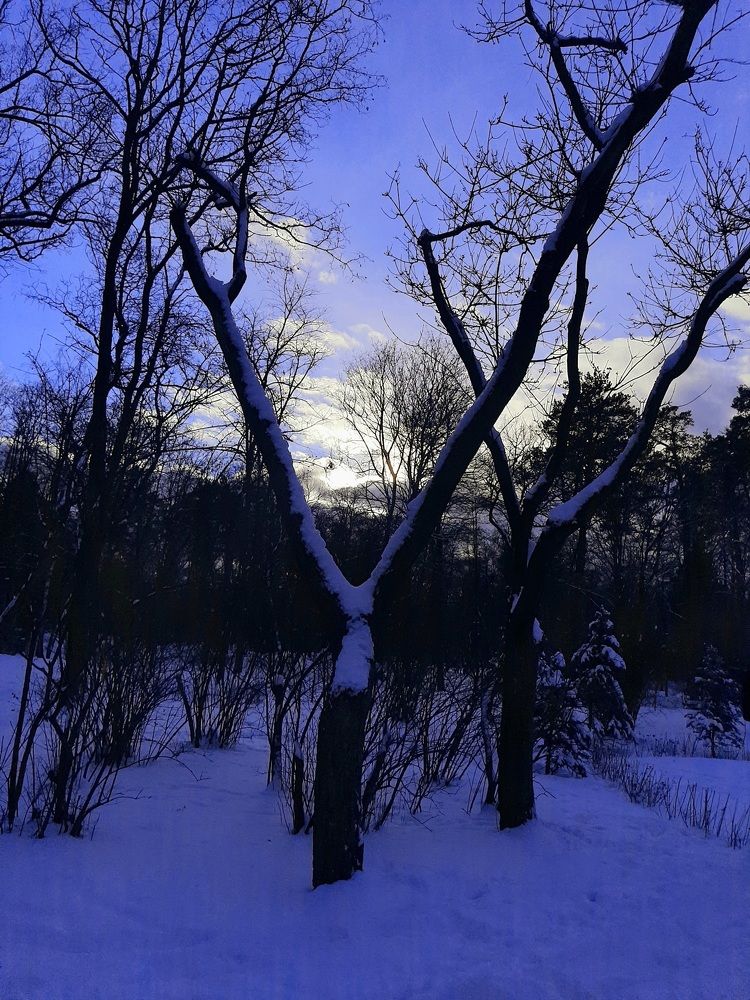 Photograph by Irina Gordienko