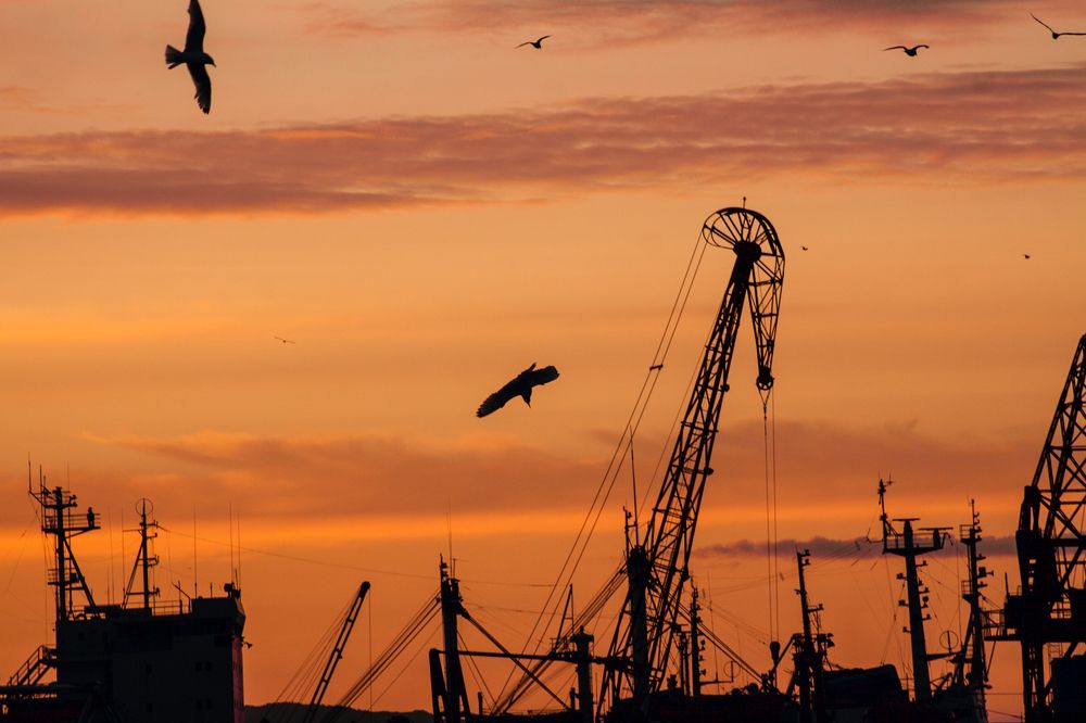 Фотография автора Андрей Русских