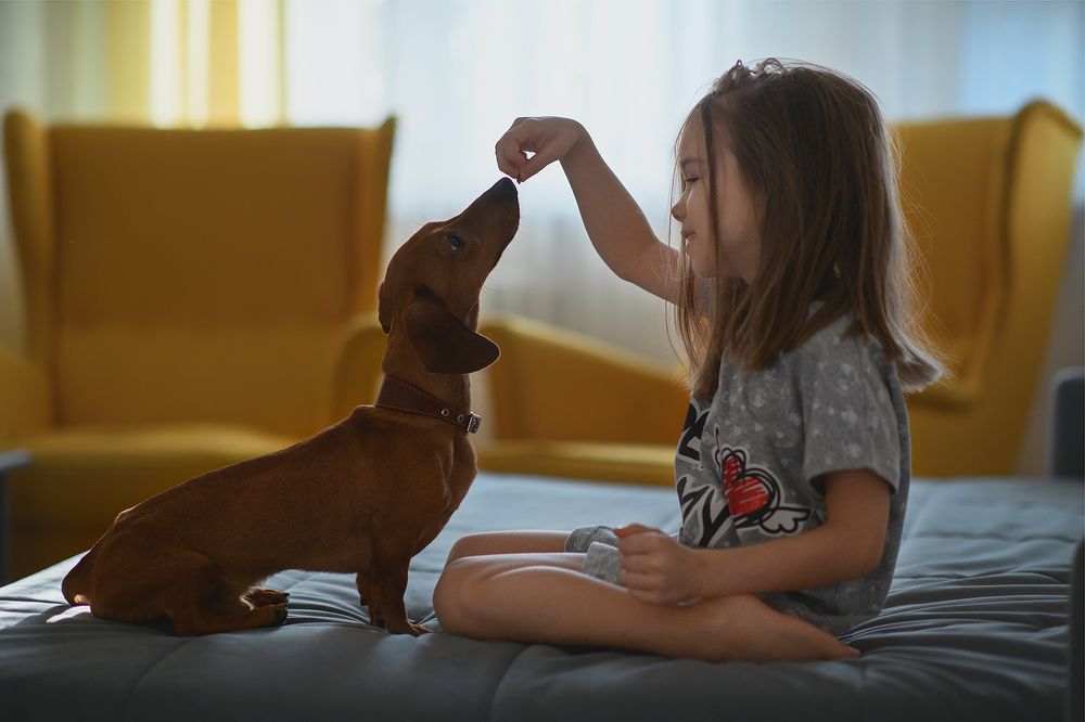 Photograph by Екатерина Плавская