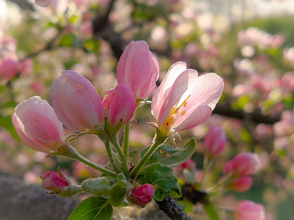 Photograph by Светлана Кондрашова