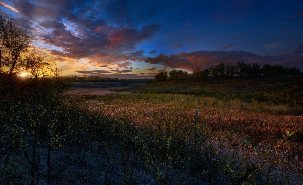 Камышовая дорога.