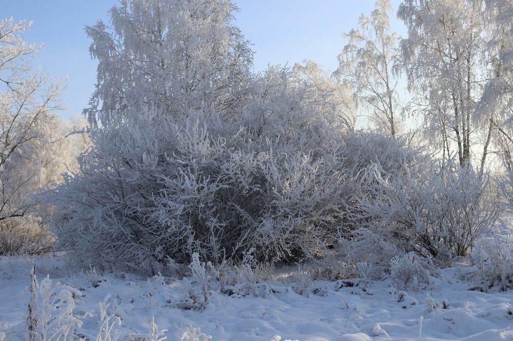 Photograph by Марина