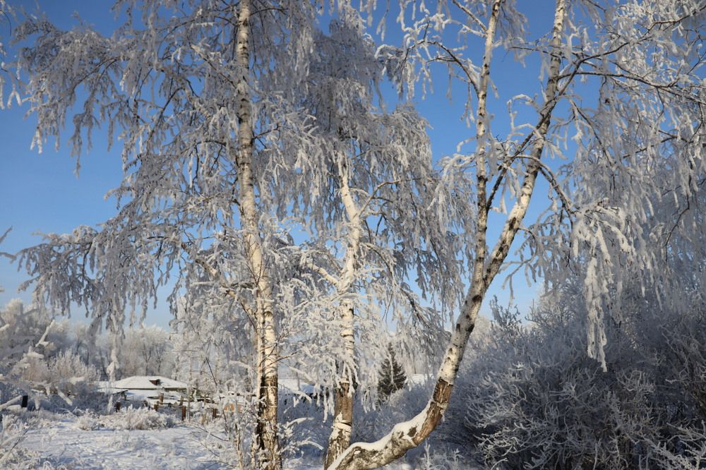 Photograph by Марина