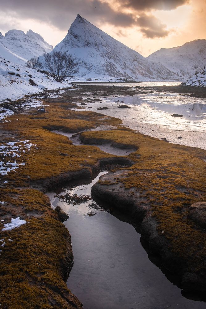 Фотография автора konstantin zhdanov