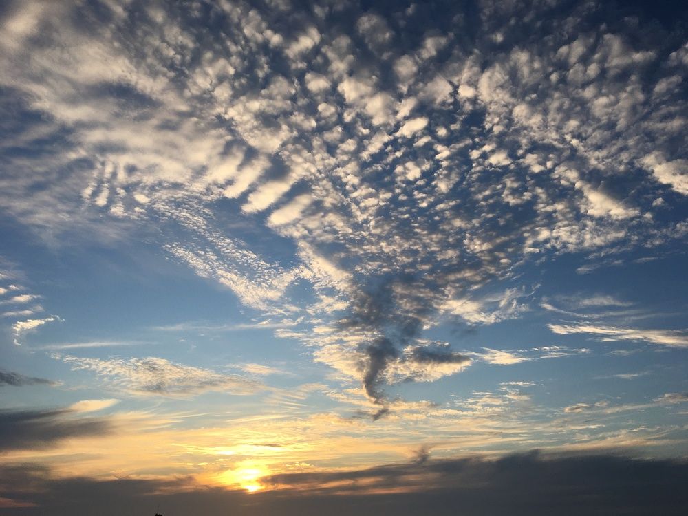 Чудо в Яффе.