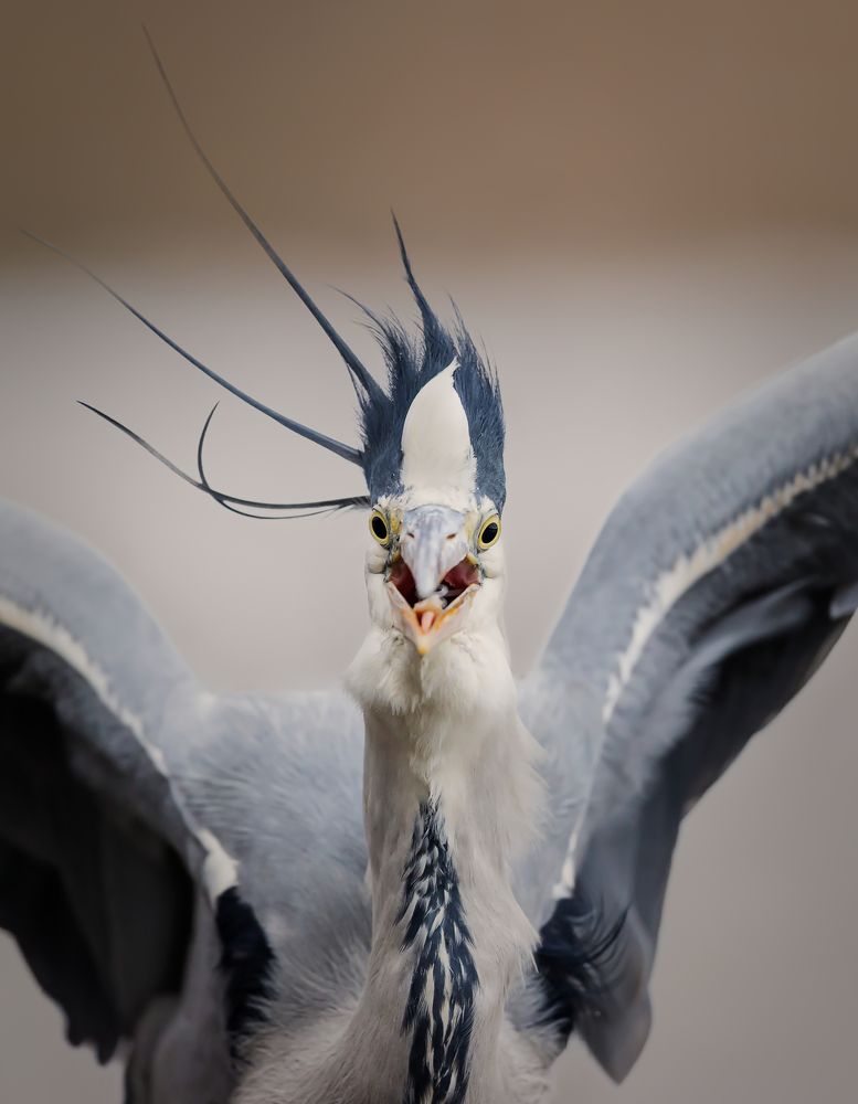 Photograph by Carsten Thamdrup Lund